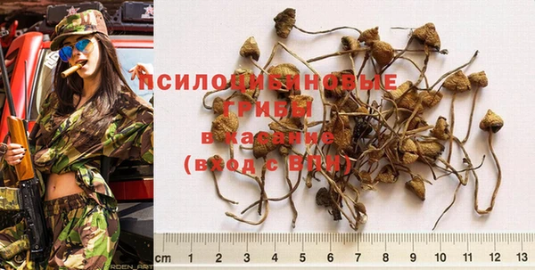 спиды Пересвет