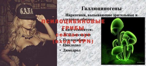 СК Дмитриев