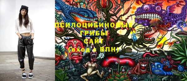 винт Переславль-Залесский