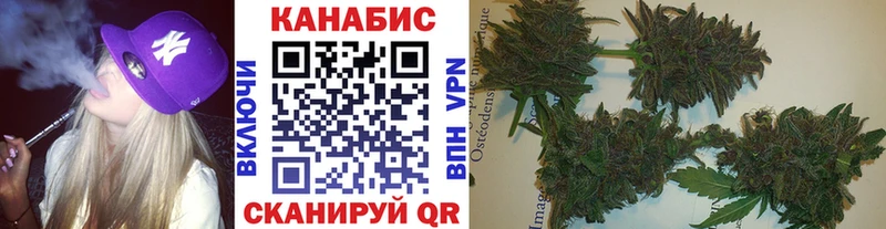 Канабис гибрид  магазин продажи наркотиков  Сольвычегодск 